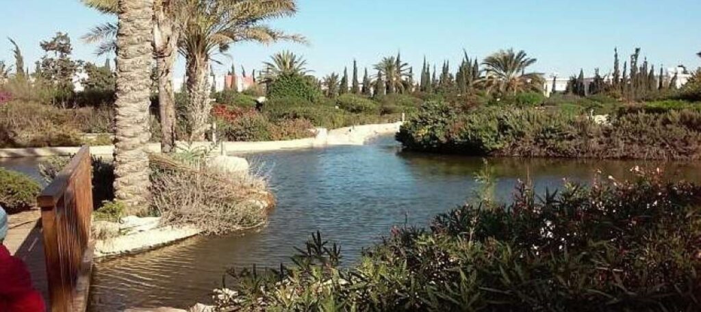 Images of 3-bedroom Villa, Meneou, Larnaka, Cyprus