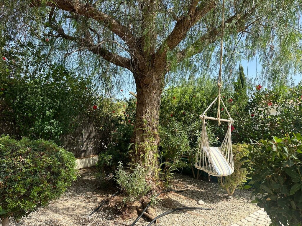 Images of 3-bedroom Detached villa, Kouklia, Paphos, Cyprus