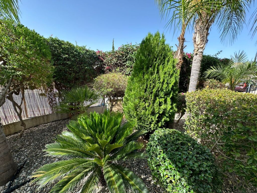 Images of 3-bedroom Detached villa, Kouklia, Paphos, Cyprus